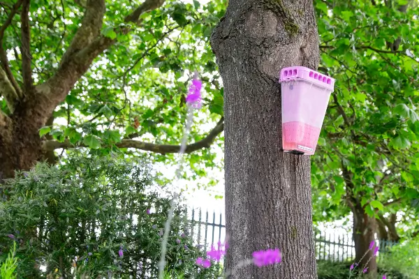 EcoCatch Flies: Outdoor Fly Control for North Carolina Business
in your area