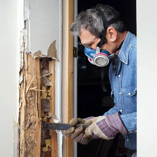 Tech removing termite damaged wood from a wall