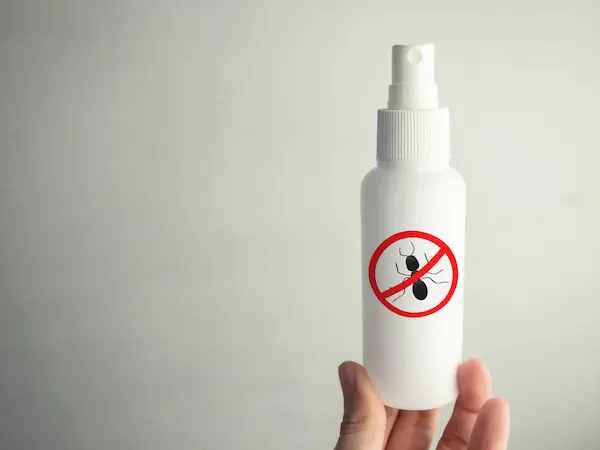 Spray against ants and insects. In the hand is an insecticide. Ant icon, warning sign. Insect prevention.