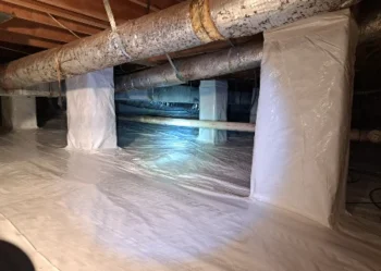 Empty crawl space - Keep pests away with Bug Out in NC