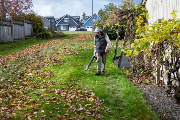 A North Carolina man using a leaf blower to tidy his backyard. While wildlife control is a year-round effort, wildlife become more noticeable during the fall, making it a great time to take preventative measures.