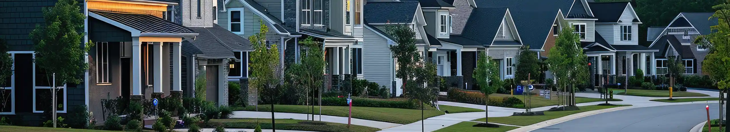 Street in North Carolina lined with houses